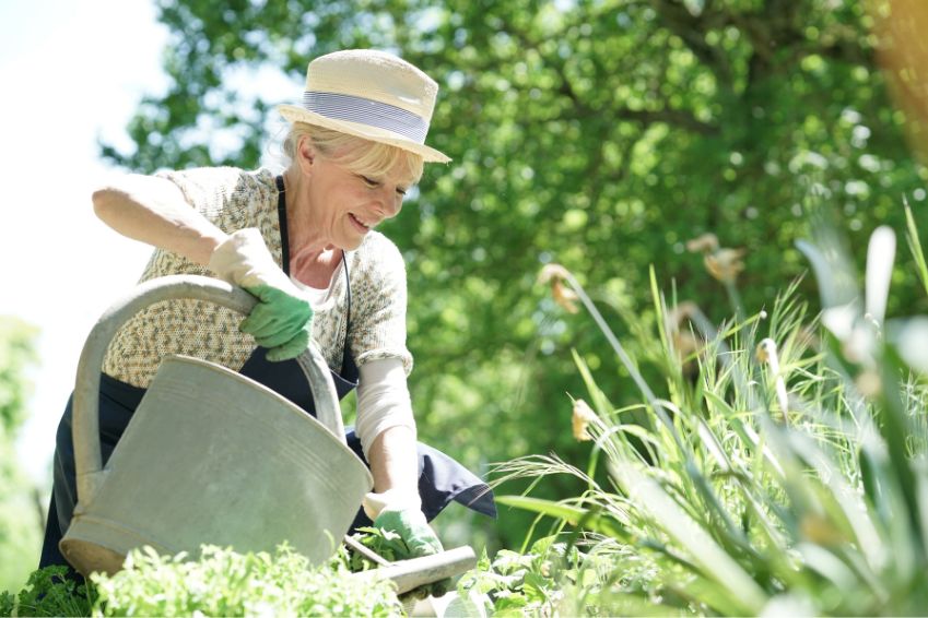 Why More Seniors Should Consider Gardening Post Image
